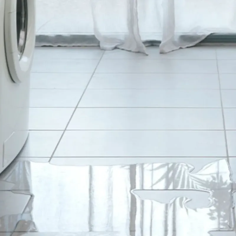 Appliance Leak Cleanup in Gardner, KS
