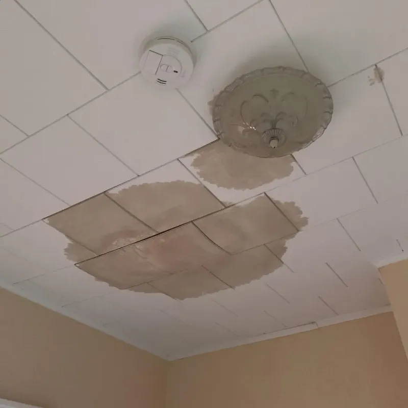 Ceiling Water Damage Repair in Gardner, KS